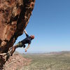 Joel, Drilling Miss Daisy (11a) Conundrum Crag, Red Rock, NV.