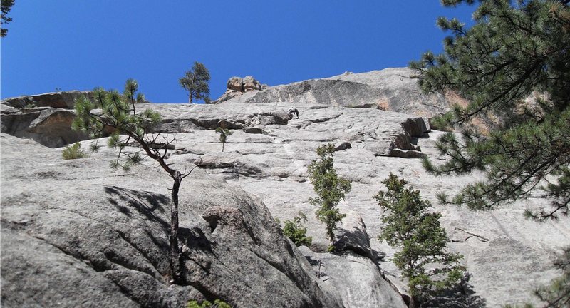 Looking up from the base of the Pear near the start of Neko's route -- the big block about 50 ft left of the Batrachian Dihedral.