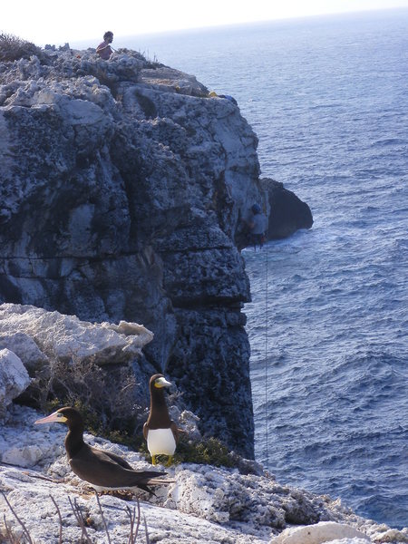 Tony on Chicken of the Sea.