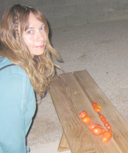 I never thought harvesting tomatoes at 3am could be so much fun! : ) And no tomtato eating insects either! The Diatomaceous Earth is doing a great job!<br>
<br>
Harvested 6/16/09; WooHoo!!