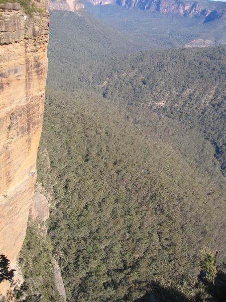 Pitch 8 of Hotel California (22, 5.11a). Grose Valley, Blue Mtns, NSW. This 10 pitch sports climb is so named becasue it never ends