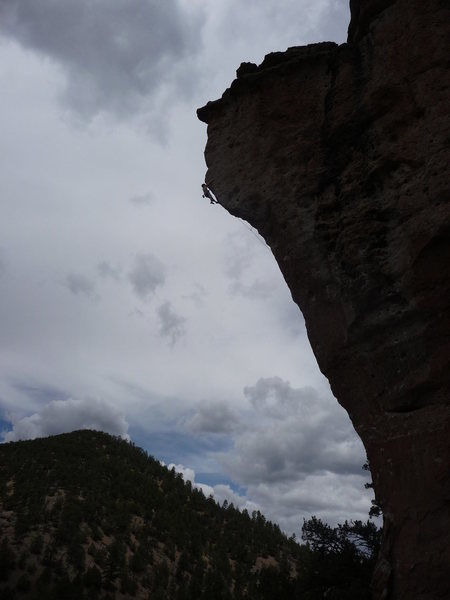 goliath
