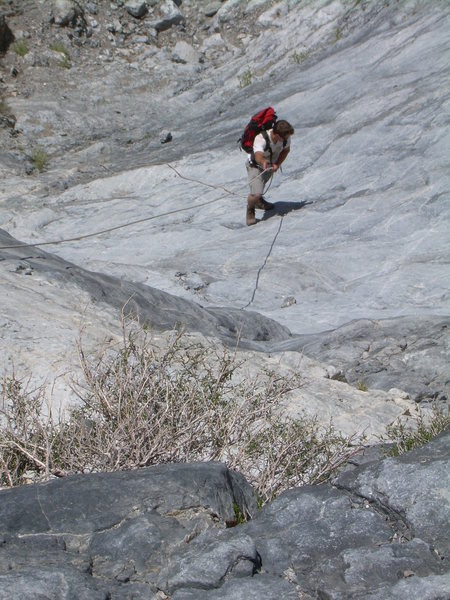 The fixed line above the ladder on the approach