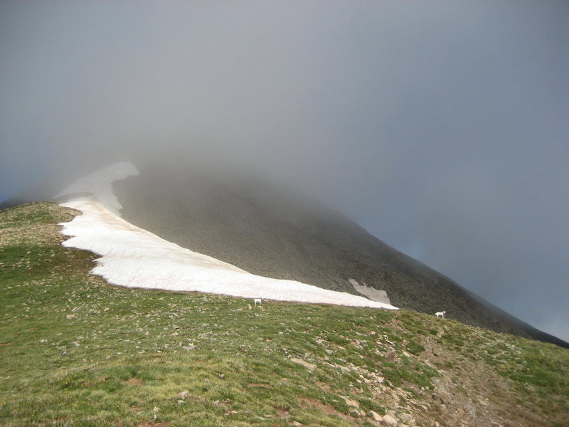 Heading for the summit