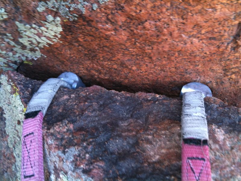 Always a warm and fuzzy feeling when two pinkies are placed side by side