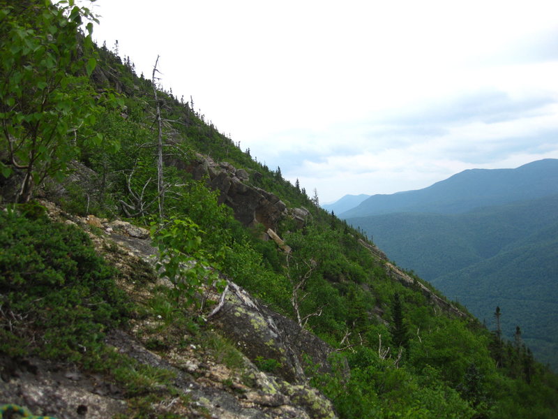 The fourth buttress south west and hidden by the trees.