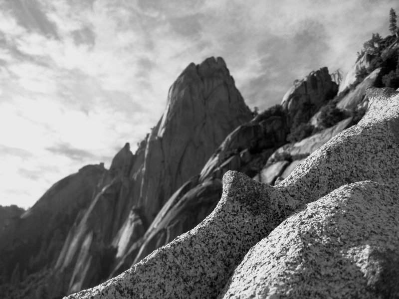 The Needles.<br>
<br>
Taken from White Punks On Dope<br>
<br>
7/8/09