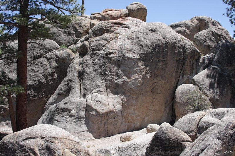 Two Tree Rock