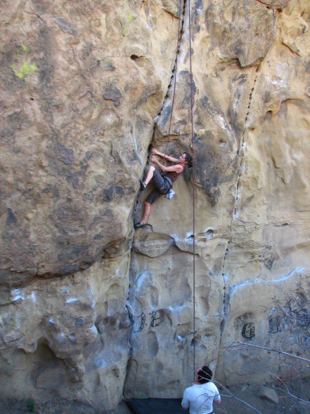 Julie at the mid-point