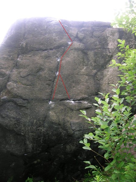 The line