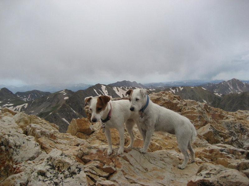 Summit of Mt Belford 14197'