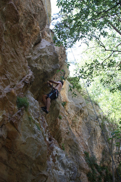 Higher up.