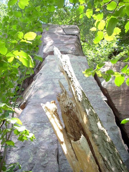 Tower directly above White Wall and directly below "Lost Arrow" on Poison Ivy Wall.