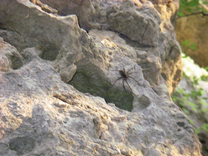 on belay