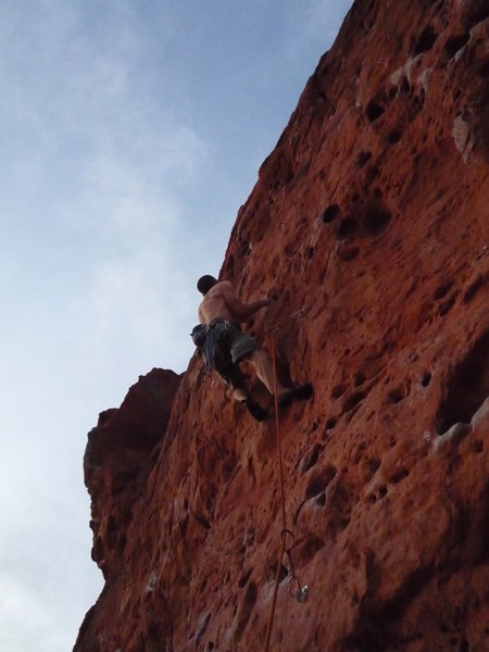 Jay E. Leading Dirt Bag.<br>
Photo: Roth