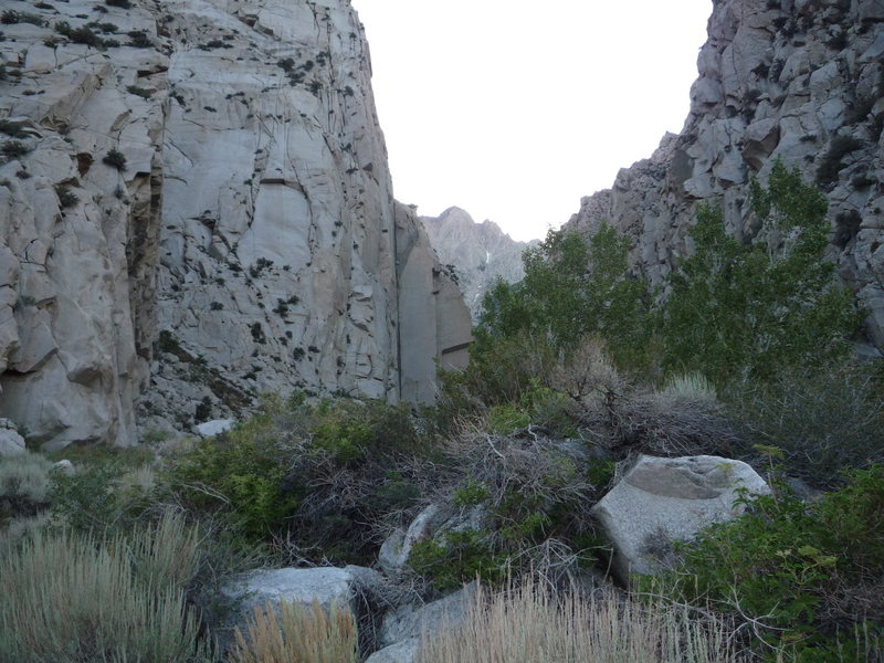 Pratt's crack and the canyon,