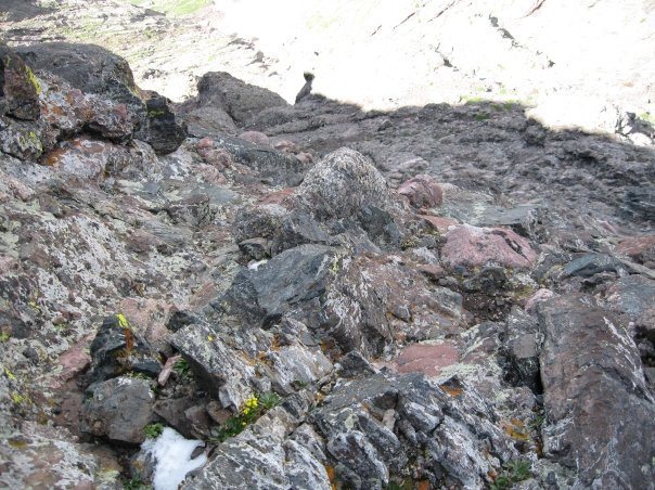 Looking down from about halfway up the crux.