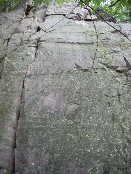 "Flying Indian" 5.7 is the crack on the left, "Serendipity" 5.11b/c is the face.