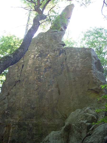There is a thin seam on this face to the right of "Pine Tree Crack". Climbed yet?