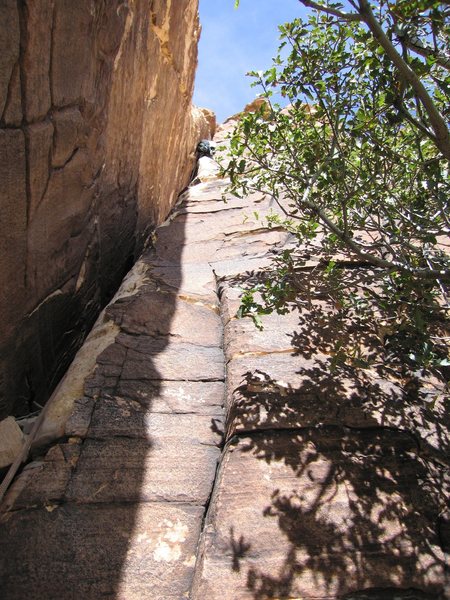 Having fun leading the wide crack on P-2 of Jubilant Song in Windy Canyon, Red Rock.
