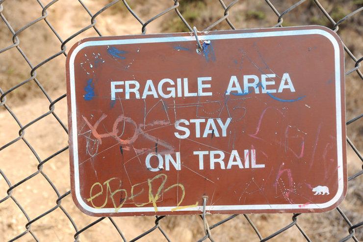 The trail to the top of the wall, at Point Dume, travels through delicate cliff-side habitat. This area enjoys the State Park's highest level of protection. Please stay on the trail and observe all posted signs.