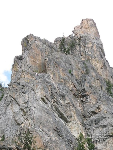 The climber is following P3