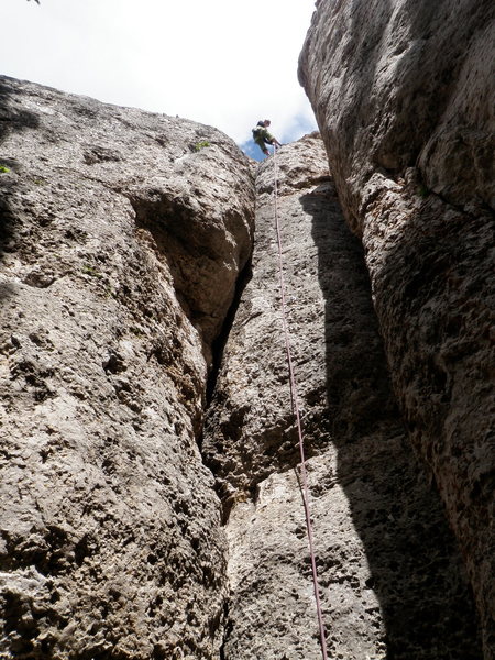 Suzanne at the top of Phat Phinger Phrenzy