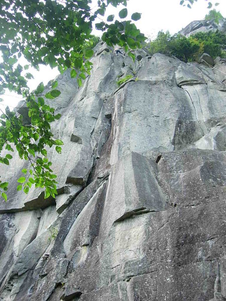 the stemming crux off shirley