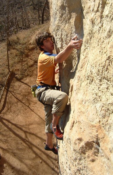 A very young balls C. Treiber (2004).