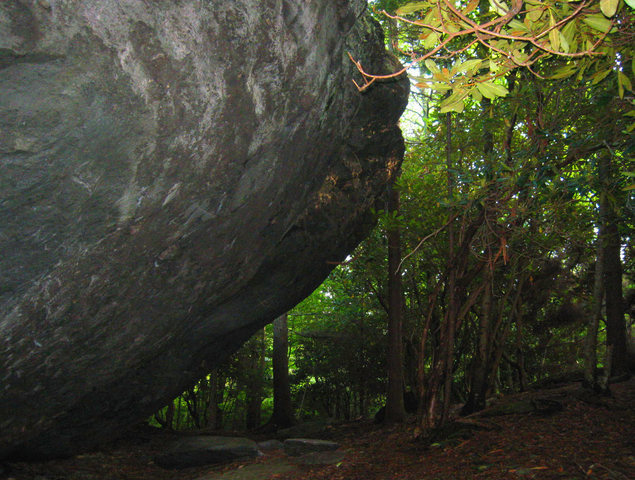 A view of the main face of the Olympus boulder at the Picnic area in Grayson Highlands State Park VA