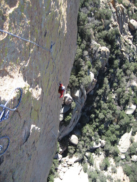 On the first pitch