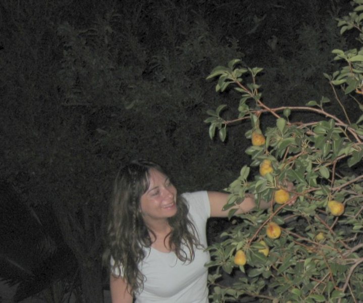 Night time pear pickin' time! This is the last remaining fruit on our trees this season. <br>
<br>
<br>
Taken 9/2/09<br>
<br>
<br>
<br>
<br>
