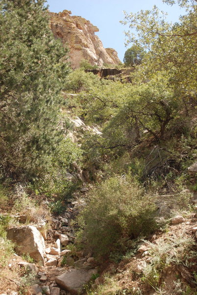 View of the Weeping Wall (short black formation) from the right hand pullout, looking up the gully.<br>
<br>
Large formation up top is Super Secret, so I don't want to Show or Tell too much about the Area...
