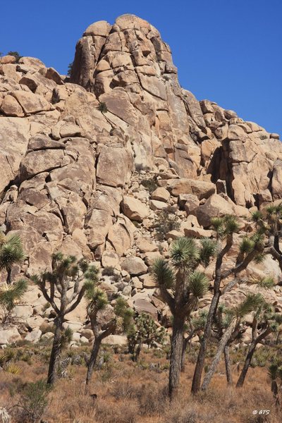 Hidden Dome from the valley floor