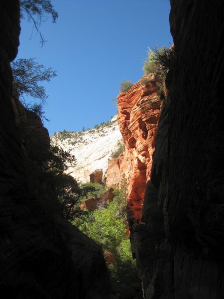 Exiting the narrow corridor of Middle Echo Canyon. The sun felt nice after all the cold swims.<br>
<br>
9/23/09 in Zion, Utah.