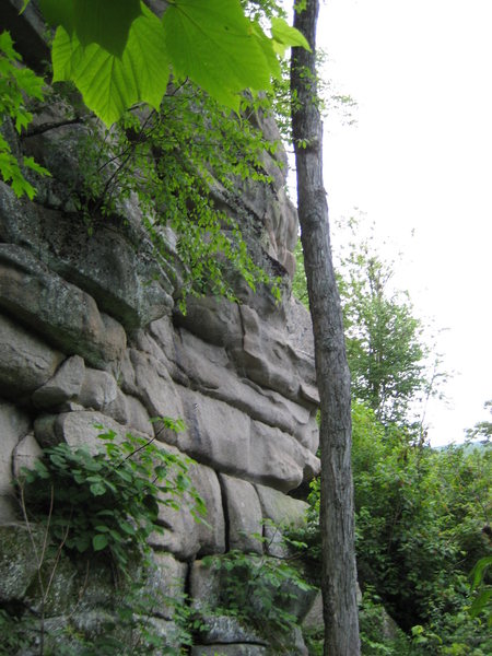Cave wall from the trial from the slabs
