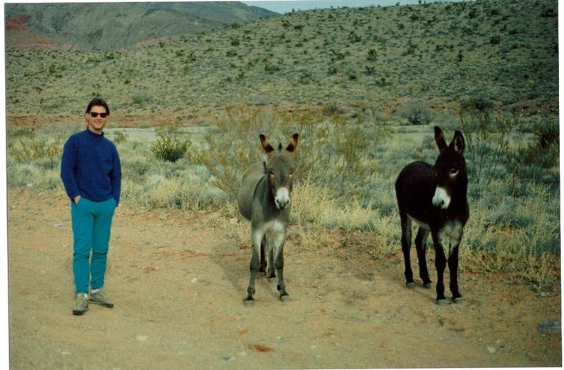 Jim Ganske standing next to wild burros in Red Rocks NV back in early 90's.  All three with a lot of attitude.