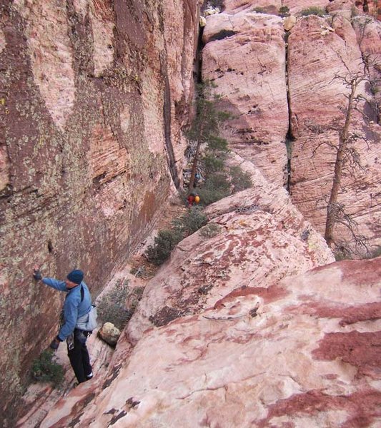 To reach the rappels, go west from the top of the buttress along this good ledge. The rappel starts by the big dead tree on the right.