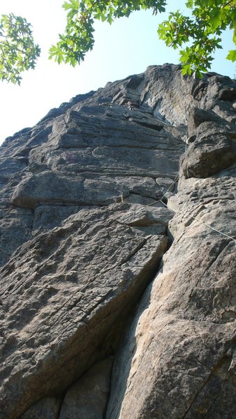 Leading up the first pitch of Saber.