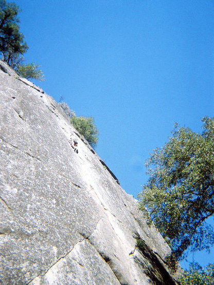 Yosemite Park, September 2008<br>
<br>
After 6, Manure Pile