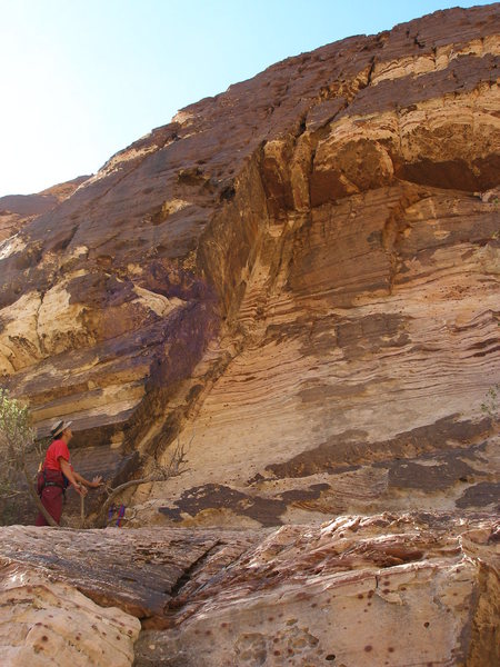 Larry scoping the Second Pitch