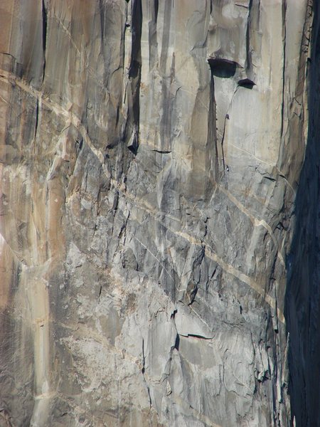 Climbers on El Cap, Sept 30, 2009.  If this is you, PM me and I'll send you some shots.