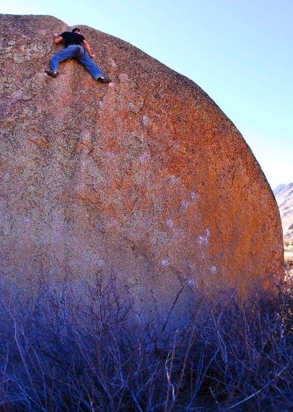 Sulli on the Hunk. photo: Lana little