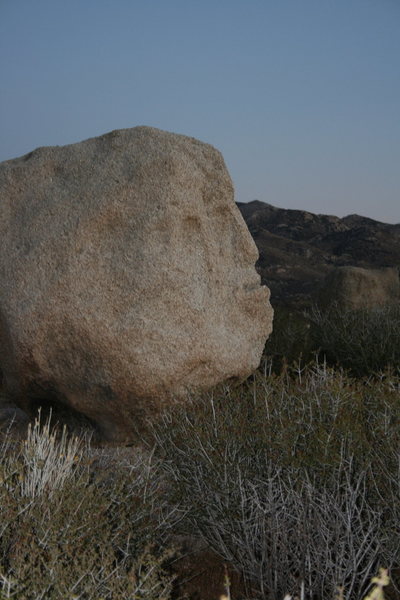  Rock Guardian of Grapevine Canyon.