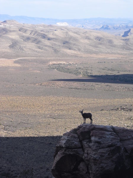 on the way down...