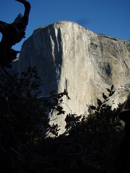 El Capitan as seen from the East Buttress of Middle Cathedral Rock