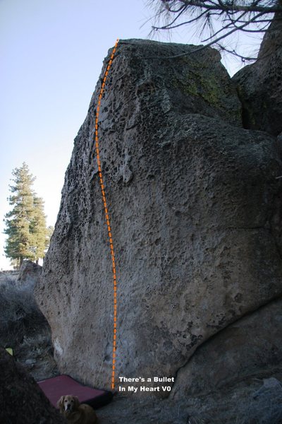 Bullet Boulder Topo