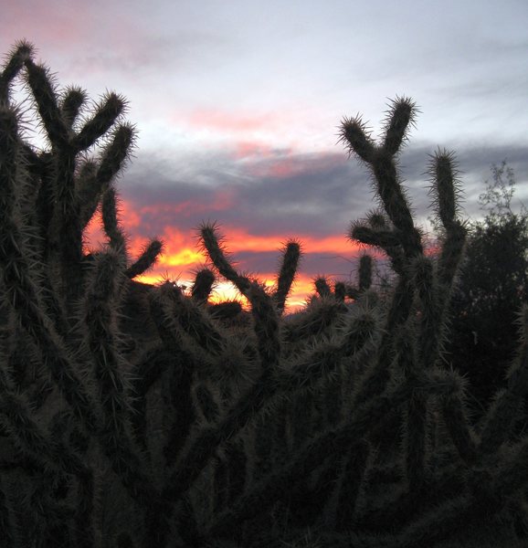 I can see why they named their mining town Sunset. <br>
<br>
It was one of the most beautiful sunsets I have ever seen.<br>
<br>
(11/4/09; exploratory desert excursion)