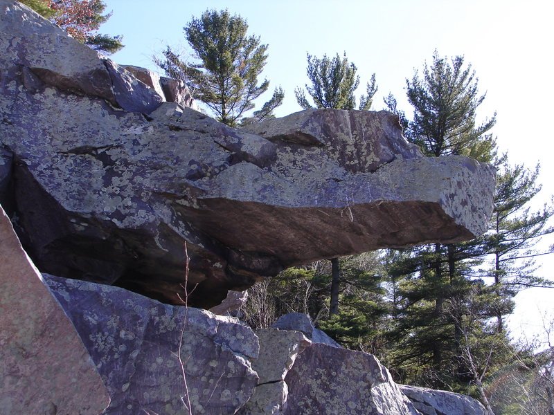 Interesting features found in this talus.