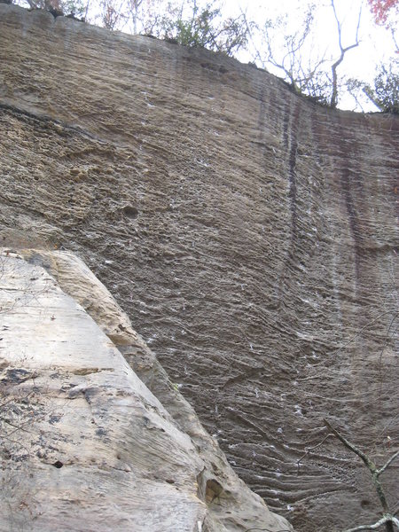 Mama Benson climbs the left-most line of bolts, beginning from the big ramp.